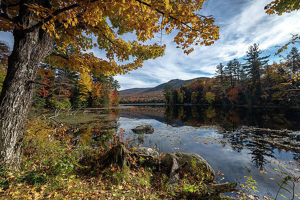 Fall Wall Art featuring the photograph Home Away From Home by Todd Wilkinson