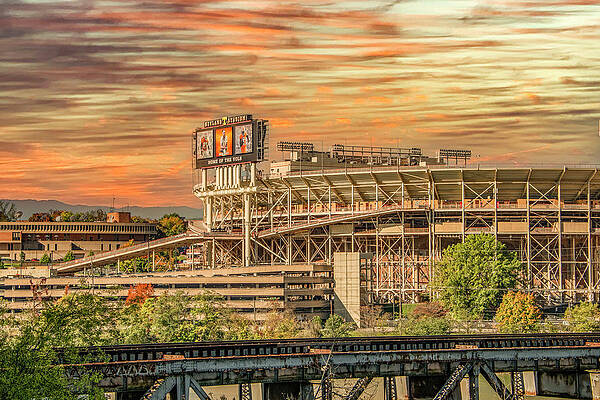 Wall Art featuring the photograph Home Of The Tennessee Volunteers by Marcy Wielfaert