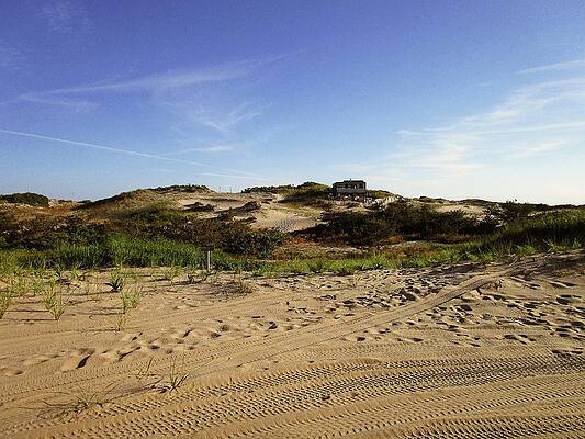Wall Art featuring the photograph Home On The Dunes by Annalisa Rivera-Franz
