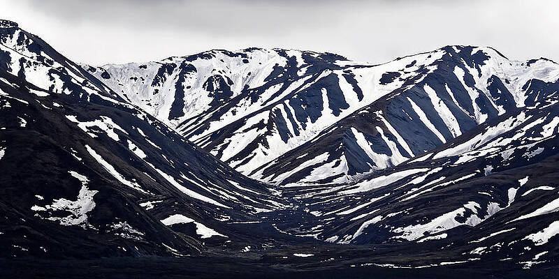 Alaska Photograph - Home On The Range - Alaska Range, Denali National Park by KJ Swan