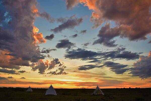 Cowboy Wall Art featuring the photograph Home On The Range by Alden White Ballard