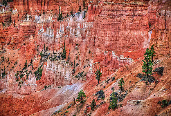 Scenic Photograph - Hoodoo Texture by Abbie Warnock