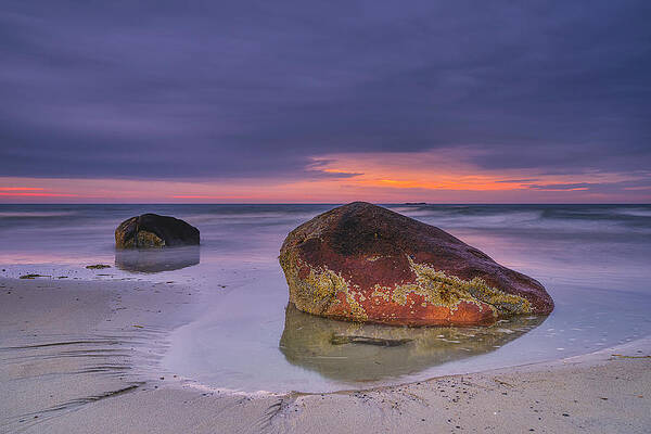 Wall Art featuring the photograph Hope And Renewal by Penny Polakoff