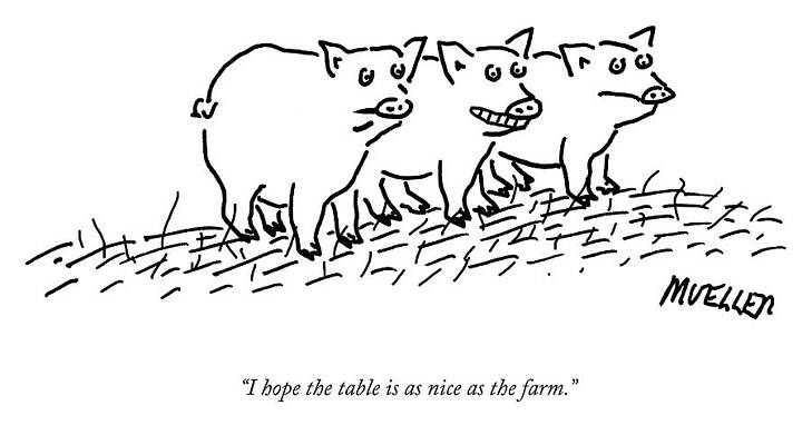 Pig Drawing - Hoping The Table Is As Nice As The Farm by Peter Mueller