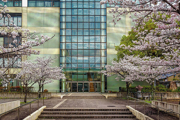 Flower Photograph - Horikawa High School And Cherry Blossoms by Steven Dos Remedios