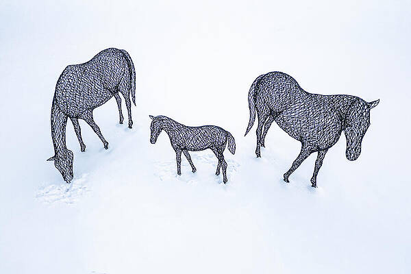 Wire Sculptures of Horses in Snow Wall Art