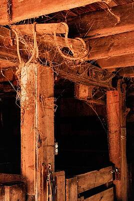 Wall Art featuring the photograph Horse Stable by John Linnemeyer