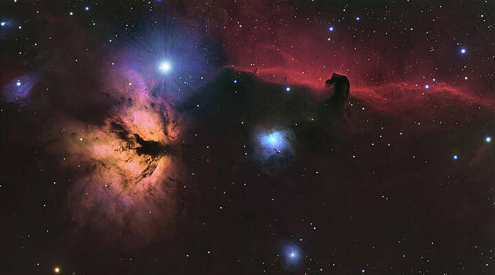 Horsehead Nebula and Surrounding Stars Photograph