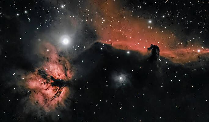 Horsehead Nebula in Orion Photograph