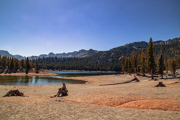 California Wall Art featuring the photograph Horseshoe Lake 2 by Cindy Robinson