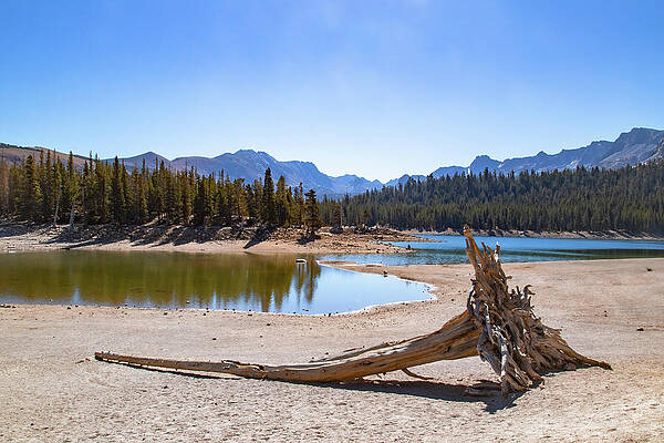 California Wall Art featuring the photograph Horseshoe Lake by Cindy Robinson