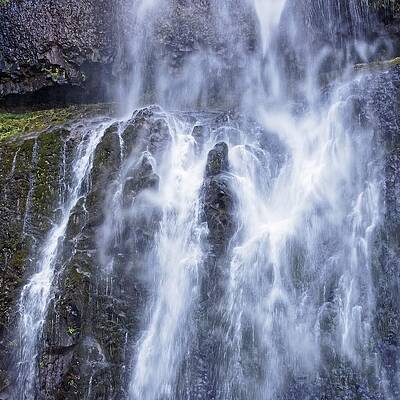 Natural Wall Art featuring the photograph Horsetail - Columbia River, Oregon by KJ Swan