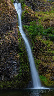 Waterscape Photograph - Horsetail Falls by DeAnna Lord