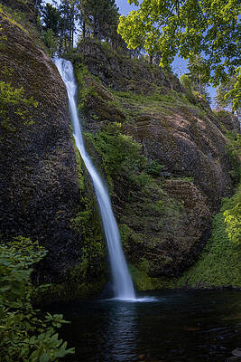 Photograph - Horsetail by Matt Halvorson