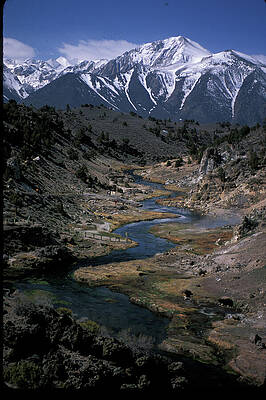 Tree Photograph - Hot Creek And Snow Capped Mt, Morrison - V by Bonnie Colgan