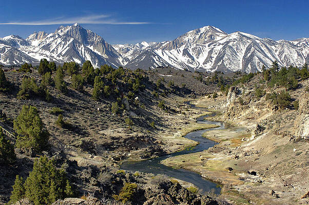 Tree Photograph - Hot Creek And Snow Peaked Sherwin Range by Bonnie Colgan
