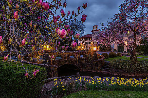 Flower Photograph - Hotel Columbia by Tim Lyden