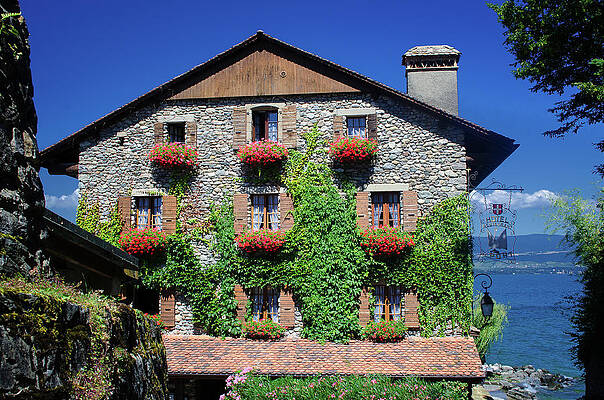 Wall Art featuring the photograph Hotel Du Port by Steven Nelson