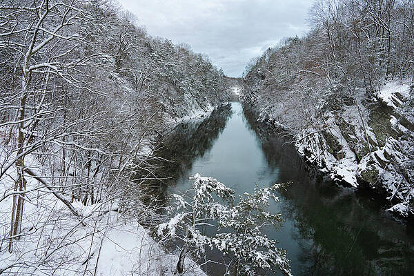 Winter Wall Art featuring the photograph Housatonic River In The Snow by Dave King