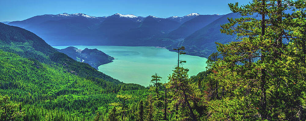 Nature Photograph - Howe Sound Wilderness, British Columbia by Abbie Warnock