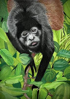 Curious Monkey in Lush Jungle Wall Art