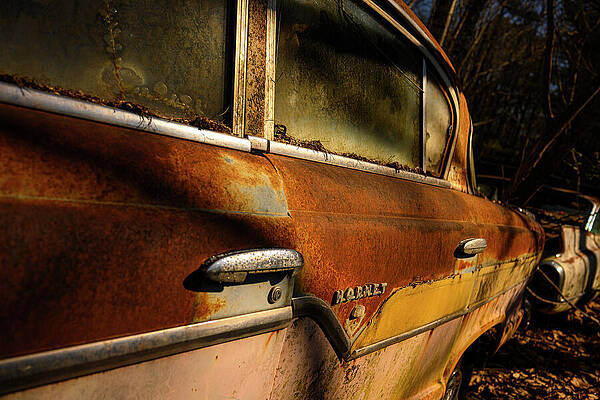 Rusty Classic Car in Forest Wall Art