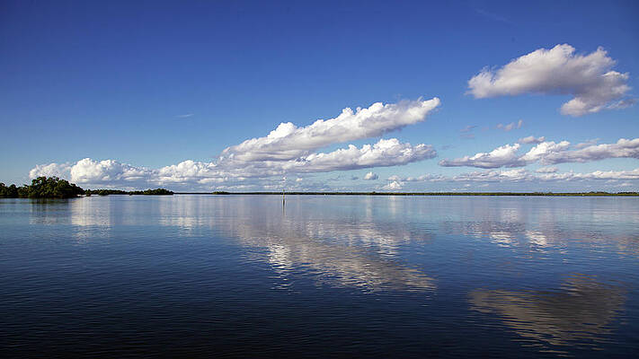 Florida Wall Art featuring the photograph Huge by Alberto Audisio