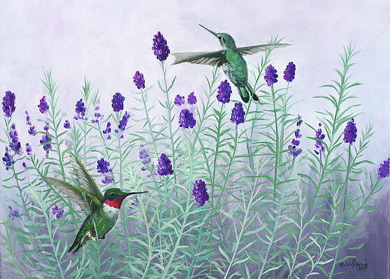 Lavender Wall Art for Sale by Julie Peterson