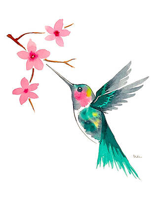 Hummingbird by Catherine Bede
