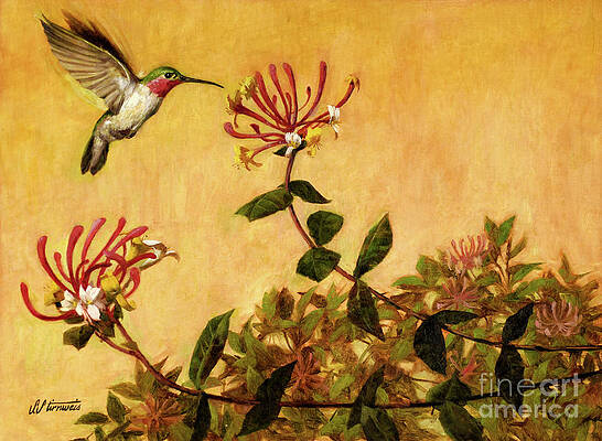 Animal Wall Art featuring the painting Hummingbird by Shannon Stirnweis