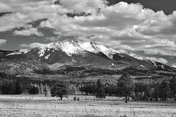 Spring Wall Art for Sale by Chance Kafka