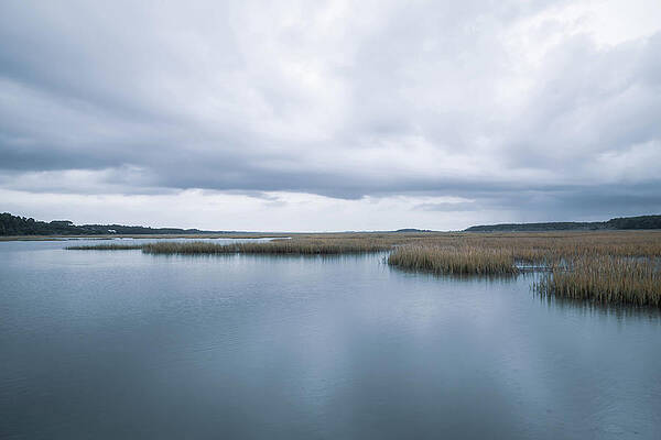 Serene Wall Art featuring the photograph Saltwater Marsh by Cindy Robinson