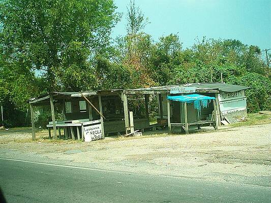 Hurricane Wall Art featuring the photograph Hurricane Katrina Series - 36 by Christopher Lotito