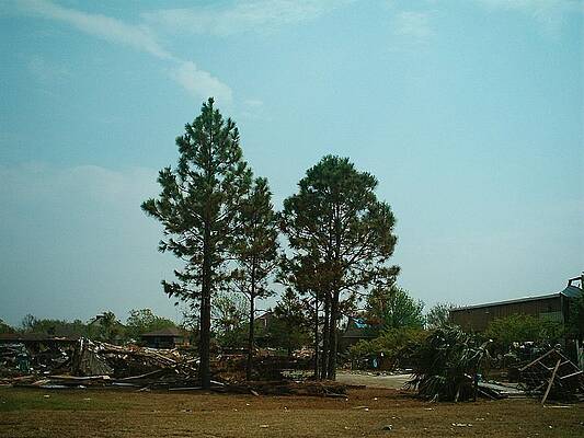 Hurricane Wall Art featuring the photograph Hurricane Katrina Series - 85 by Christopher Lotito