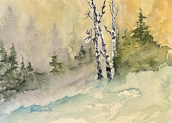 Birch Trees in Misty Forest Painting