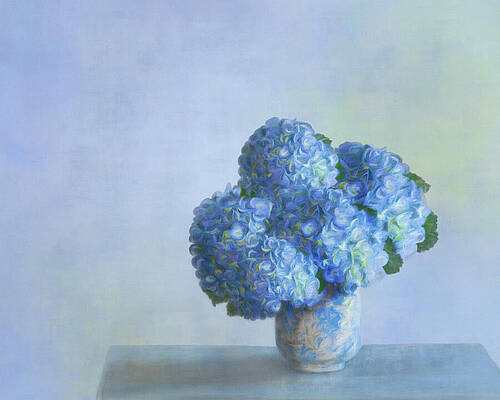 Hydrangea Morning Print