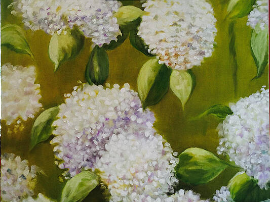 Wall Art featuring the painting Hydrangeas From My Garden by Juliette Becker