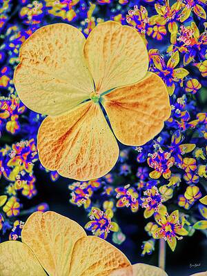 Colorful Wall Art featuring the digital art Hydrangeas Up Close by Bruce Block