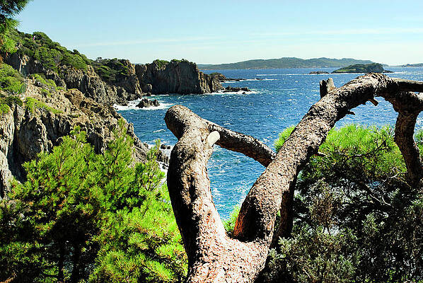 Hyeres, Giens, France, Mediterranean Sea, rocky coastline by Severija Kirilovaite
