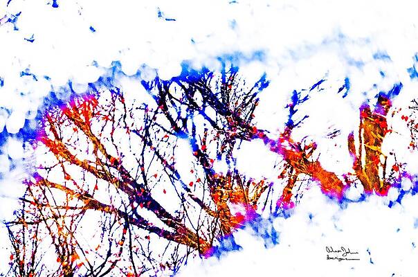 Wall Art featuring the photograph KG- I Have Never Been Called Obsessive by Alex John Bergerman