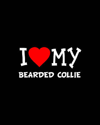 I Wall Art featuring the digital art I Love My Bearded Collie Dog Breed by Flippin Sweet Gear