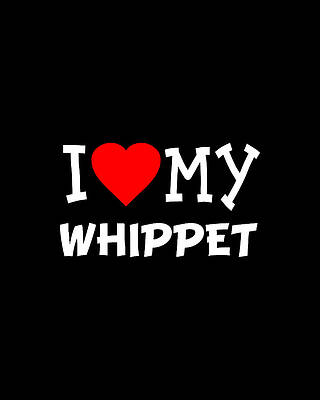 I Wall Art featuring the digital art I Love My Whippet Dog Breed by Flippin Sweet Gear