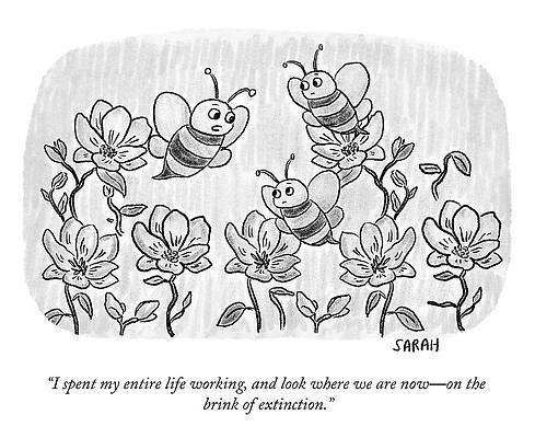 Bee Wall Art featuring the drawing I Spent My Entire Life Working by Sarah Kempa