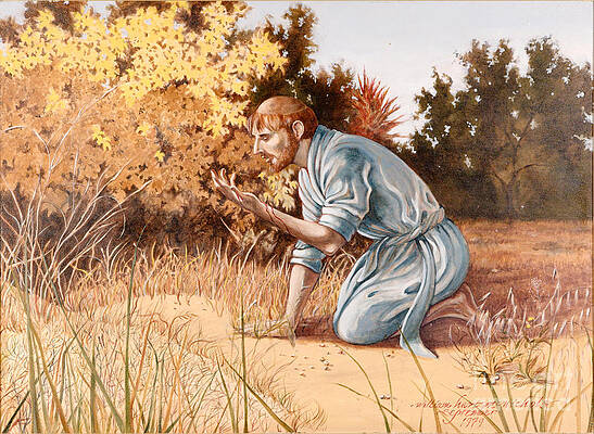 Wall Art featuring the painting I Will Hold Out My Hand And My Heart Will Be In It  -1979 by William Hart McNichols