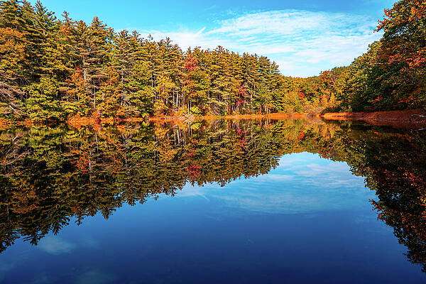 Reflection Wall Art featuring the photograph Ice Lake Park Fall Reflections by Jason Fink