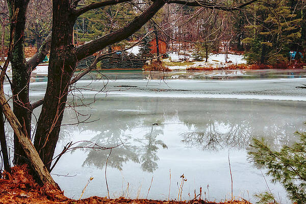 Winter Photograph - Iced Reflections On Haliburton Lake by Tatiana Travelways