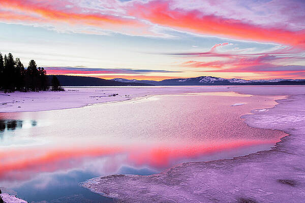 Majestic Wall Art featuring the photograph Icy Dawn by Mike Lee