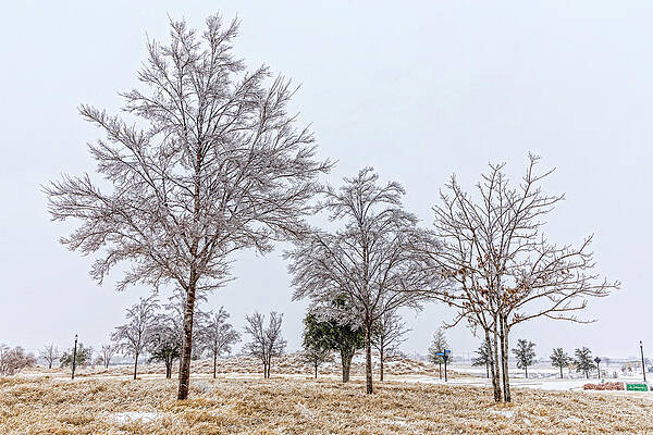 Winter Wall Art featuring the photograph Icy Winter Storm by Kelley King