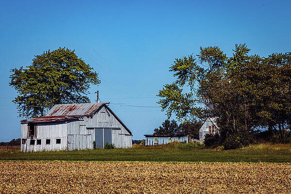 Tree Photograph - Illinois - Barn by Robert Niemeier