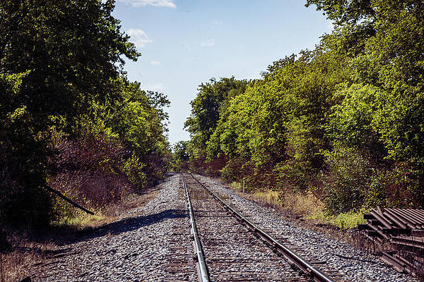 Tree Photograph - Illinois - Train Track by Robert Niemeier